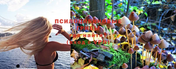 соль ск Абинск
