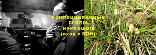 МДПВ Абаза