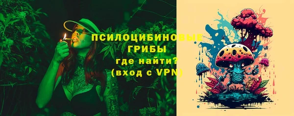 МДПВ Абаза