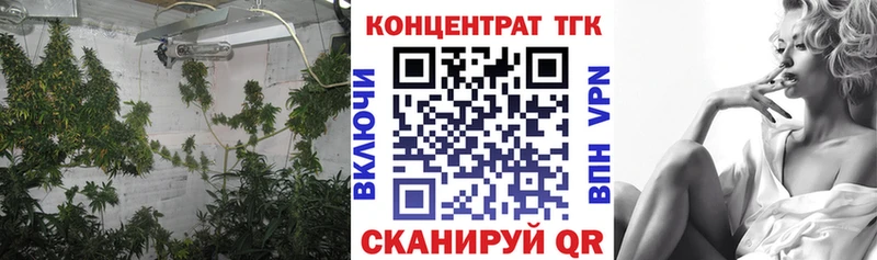 ТГК Wax  Ак-Довурак 